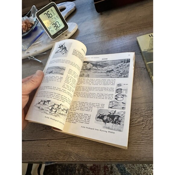 Vintage Wyoming Bonney Guides Grand Teton, Field Book Wind River Range + 1 More - Picture 5 of 7